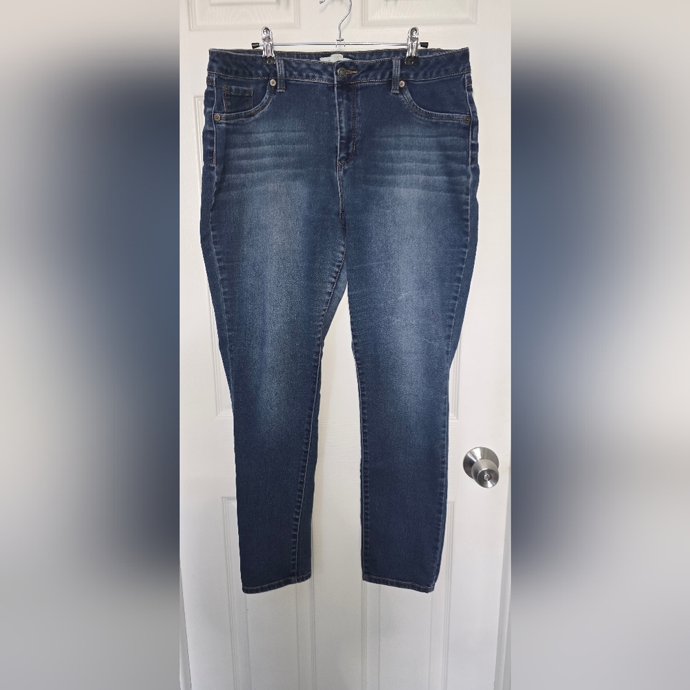 Artisan Blue Skinny Jeans with Vintage Wash